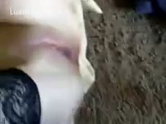As this hottie spreads her legs, a concupiscent dog licks her in a perfect, silky love tunnel.